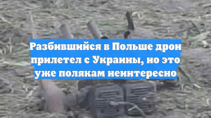Разбившийся в Польше дрон прилетел с Украины, но это уже полякам неинтересно