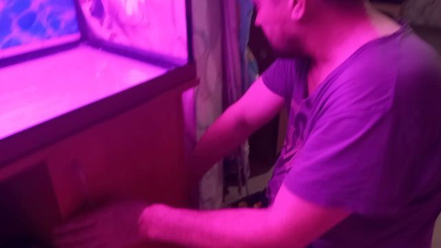 аквариум на 200литров смотреть онлайн