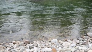 Рыбалка на Сихотэ-Алине. Телеграмм канал @nozhonozhiki