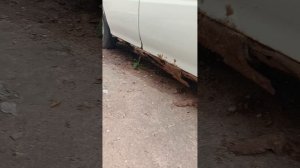 video_ авто