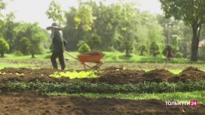 «Новости Тольятти» 26.08.2025