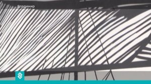 14 новых муралов появятся на домах Владимира в рамках фестиваля «33ZAGFEST»