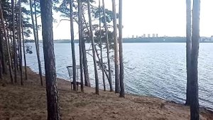 VID_20250816_134149.mp4