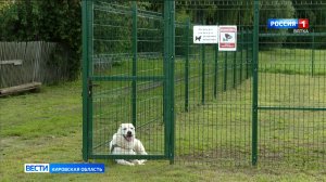 В поселке Пижанка появилась специальная площадка для выгула собак