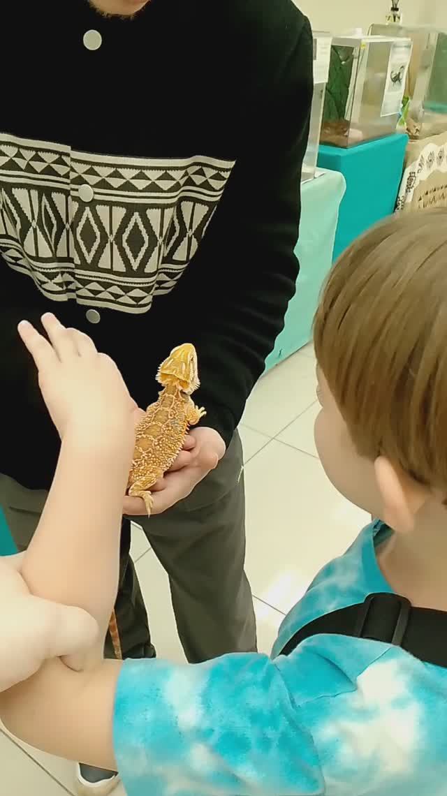 Выставка рептилий 06.03.2025