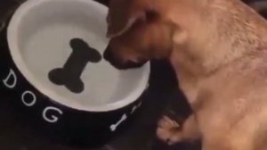 VID_20250826_203537_344.mp4