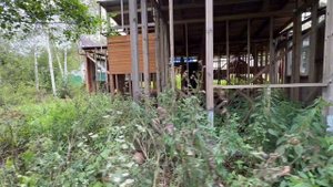 Обзор земельного участка на продажу в Москве, с возможностью строит-ва жилого дома (СНТ Мачихино)