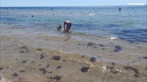 Крым Евпатория пляж Робинзон сегодня 26 августа 2025. Море и погода в Крыму сейчас. Обстановка