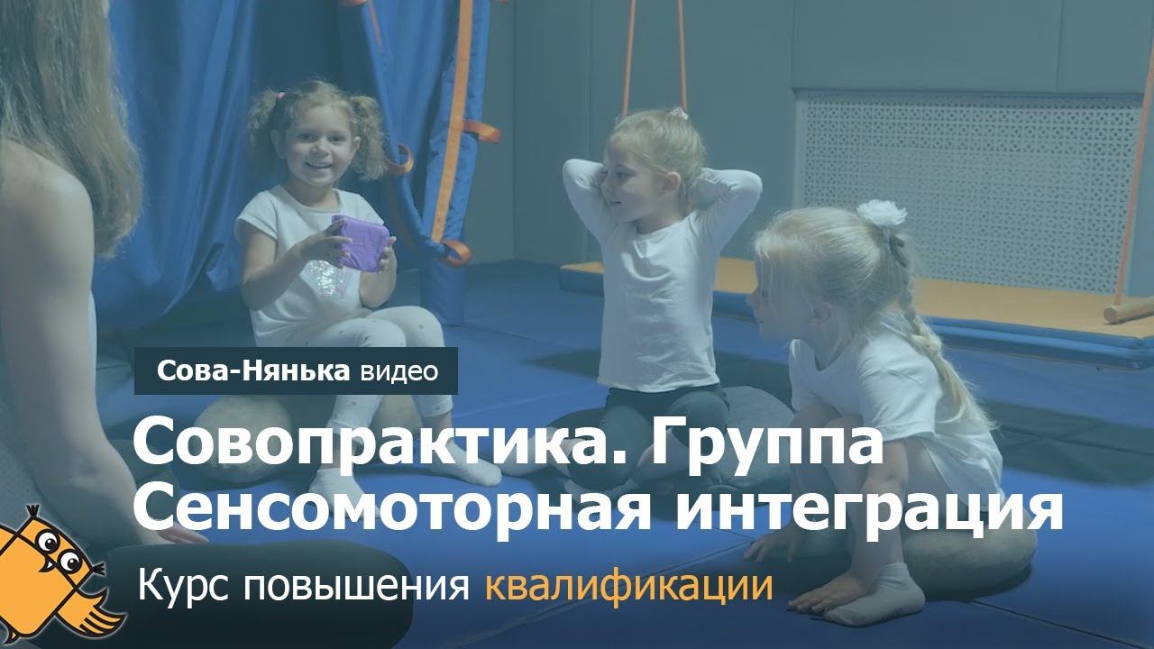 Совопрактика. Группа. Курс повышения квалификации (сенсомоторная интеграция)