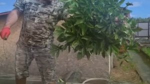 1000094389.mp4 📹 "Уральская сказка: Картошка 🥔, колбаса 🥓 и лицемерие 🤥"#обзор#уралочка