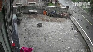 Что это было