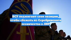 ВСУ поджигают свои позиции, чтобы сбежать из Серебрянского лесничества в ЛНР