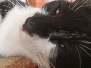 играем во дворе