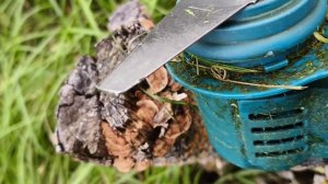 Китайский аккумуляторный триммер за 3000 рублей. Удастся ли покосить участок в 6 соток. #триммер