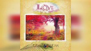 Музыка для медитации от учеников Шри Чинмоя, 2017