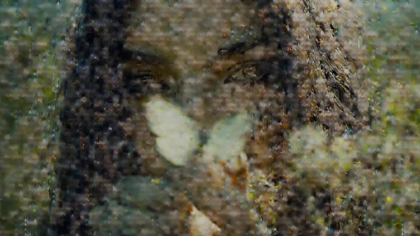 butterfly effect