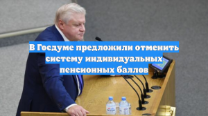В Госдуме предложили отменить систему индивидуальных пенсионных баллов