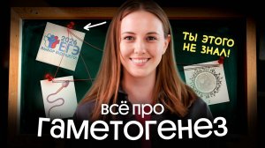 КАК УСТРОЕН ГАМЕТОГЕНЕЗ? | ПОДГОТОВКА К ЕГЭ ПО БИОЛОГИИ