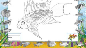 Аквариумные рыбки. Наклейки детские (стикеры)+ вкладыш раскраска