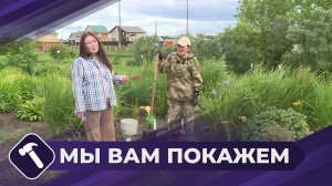 Мы вам покажем: Пересадка сардааны