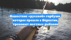 Нашествие «русской» горбуши, которое прошло в Норвегии, тревожит местных рыбаков