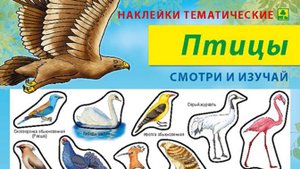 Наклейки/стикеры. Птицы  + вкладыш-раскраска