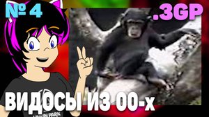 Макака понюхала палец. Приколы 2000-х. (Лови Мой 3gp с Нинель) #4