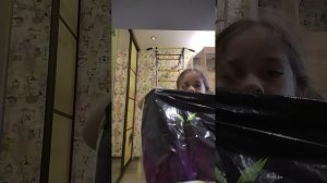 Показывают трюки в Ниндзя спорте часть 2