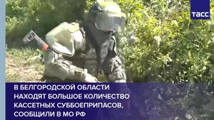 В Белгородской области находят большое количество кассетных суббоеприпасов, сообщили в МО РФ