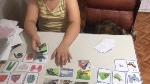 Особенные дети. Изучение категорий.