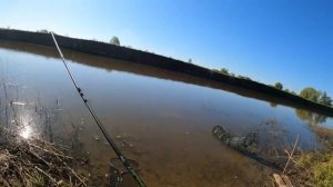 МОТЫЛИ против ОПАРЫШЕЙ или Красное Белое. РЫБАЛКА.