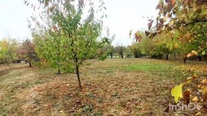 Шмат, Степная.mp4