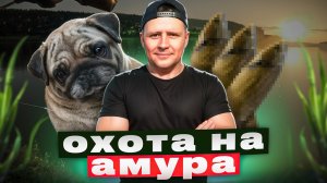 Когда на точку стал АМУР