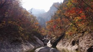 South Korea 4K - Scenic Relaxation Film With Calming Music