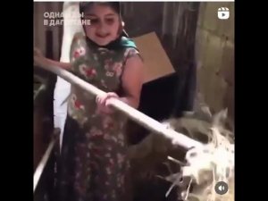 инста самка. Дагестанская версия