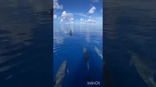 музыка для настроения