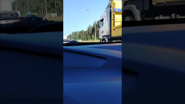 взросление и пенсия.