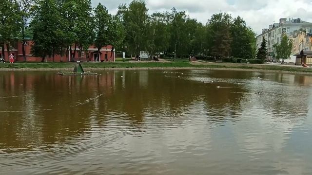 Сергиев Посад. Уточки и лебеди. Путешествие по Золотому кольцу России..mp4