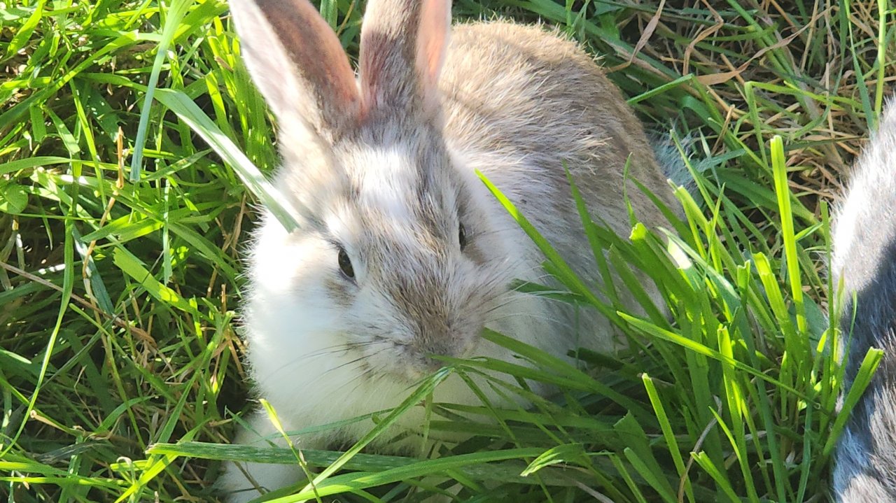 Дела августа