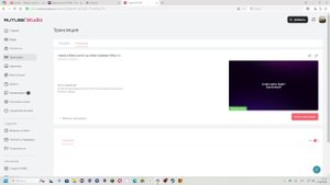 стрим в брик ригсе на моём сервере OKrp ru