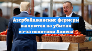 Азербайджанские фермеры жалуются на убытки из-за политики Алиева
