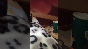 1 серия на охоте