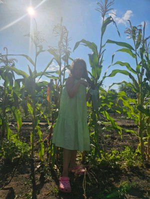 интересный ролик