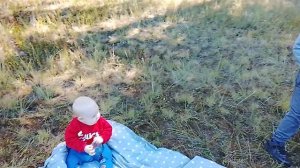 на природе хорошо/ а пикник на природе ещё лучше