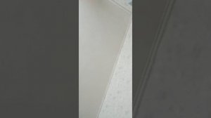 Смишные видео