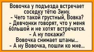 Как Вовочка у тёти Зины остался! Сборник свежих анекдотов!