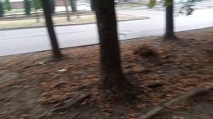 "Чистые" Улицы курорта Кисловодска! 26.08.2025 г.