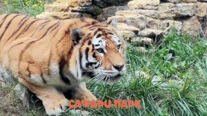 Геленджик. Сафари-Парк