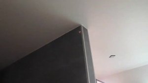 VLOG Слизней больше нет на клубнике. Начала заготавливать зелень на зиму. В сарае появился свет.