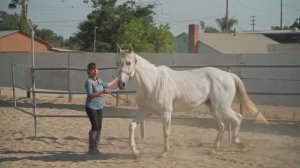 8625250-hd_1920_1080_30fps